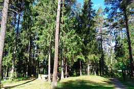 База отдыха в Ярославской области