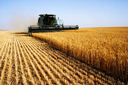 Успешное сельскохозяйственное предприятие в Вологодской области, площадью 3 000 га.