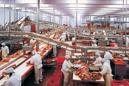 Мясоперерабатывающее производство в Московской области