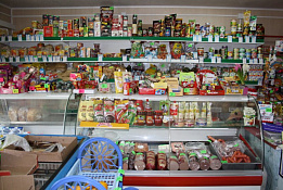 Продуктовый магазин в 5 минутах от Владимирской