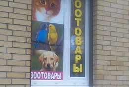 Зоологический магазин на оживленном проспекте