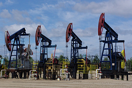 Нефтедобывающая компания