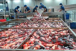 Переработка морепродуктов с постоянными клиентами