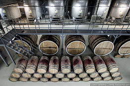 Завод по производству вин