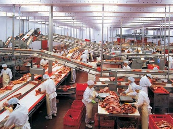 Мясоперерабатывающее производство в Московской области