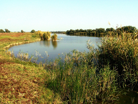 участок земли с озером под бизнес в Крыму